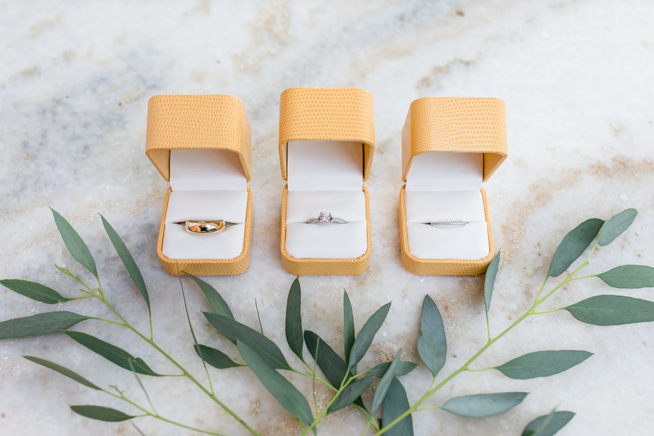 Charlotte Fristoe Photography-1.jpg