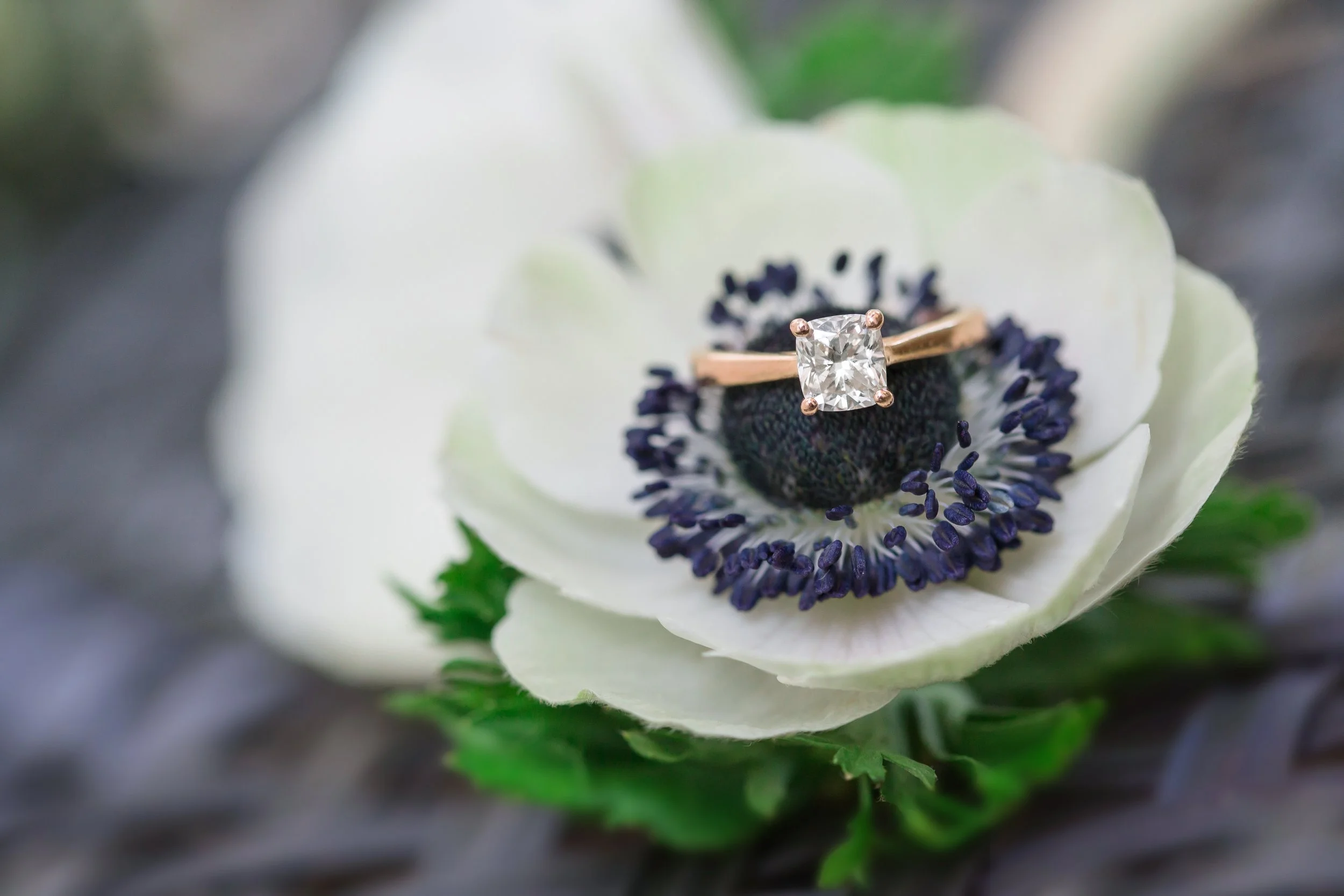 Charlotte Fristoe Photography-27.jpg