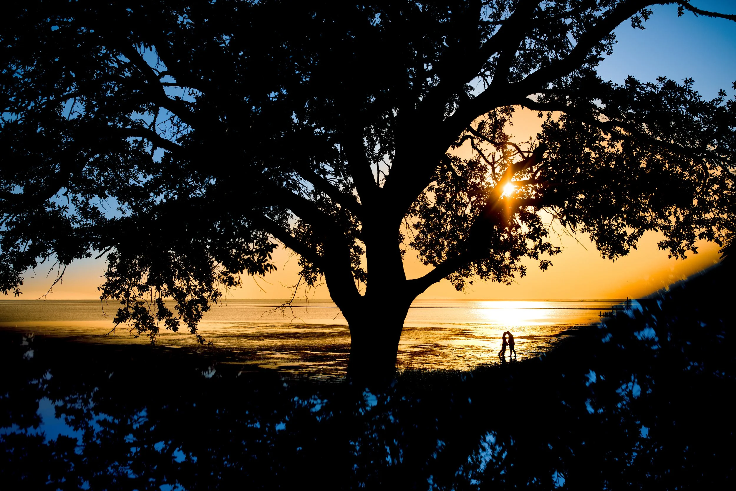 Charlotte Fristoe Photography53-1.JPG