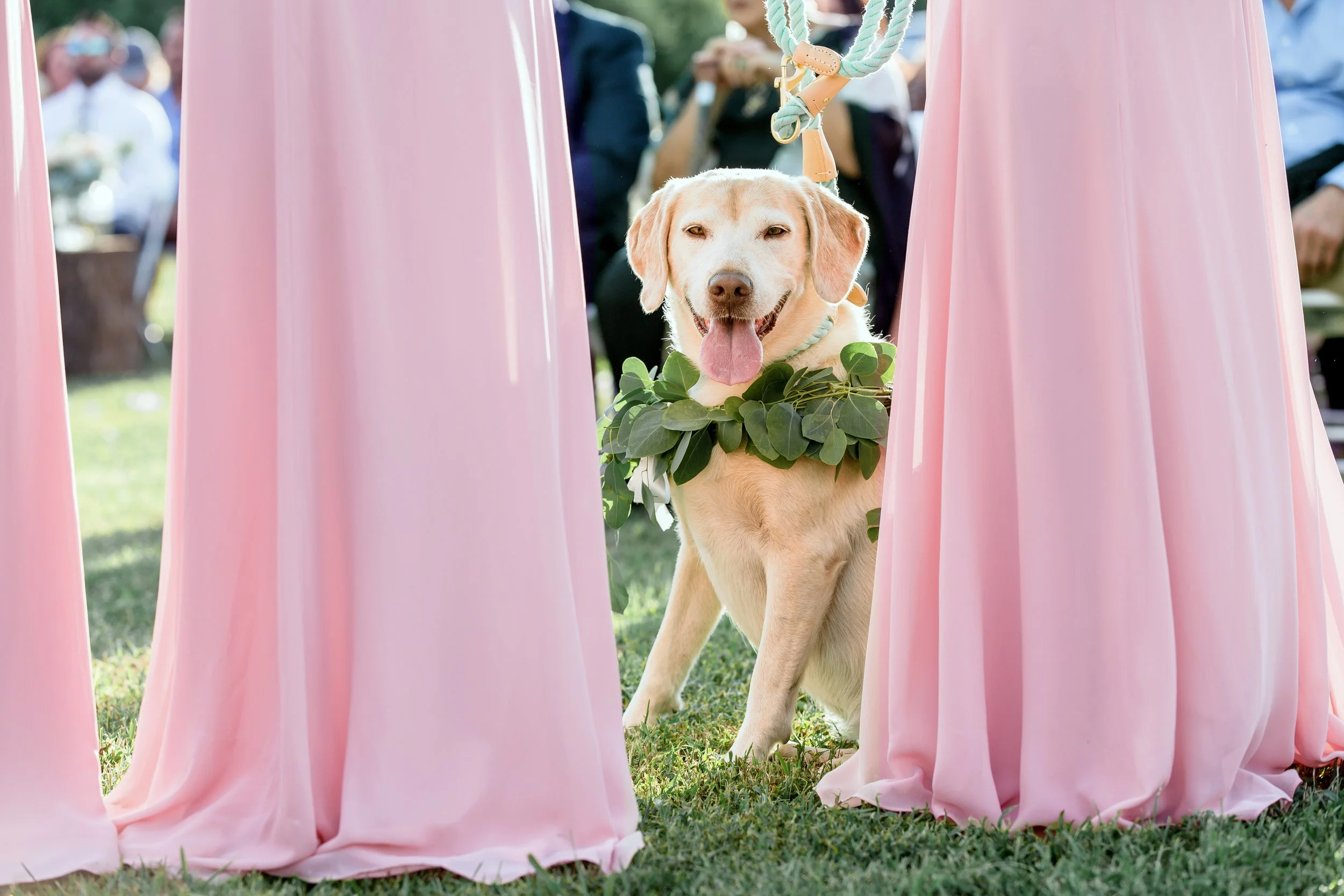 Tennessee Wedding Photographer-31.jpg